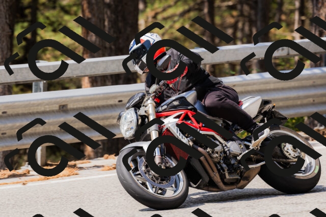 202508161129-_04A0676_c3