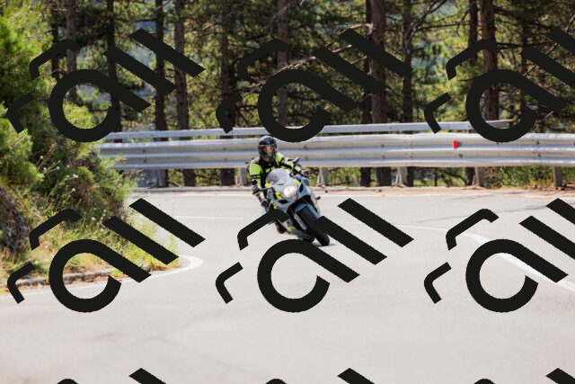 202508161131-_04A0677_c3