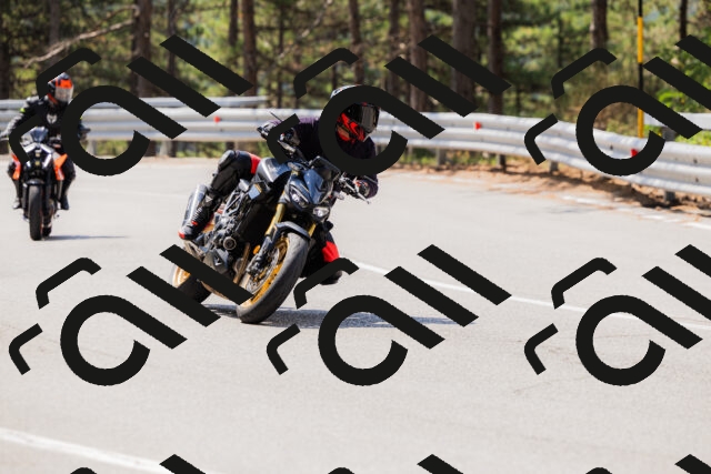 202508161134-_04A0694_c3