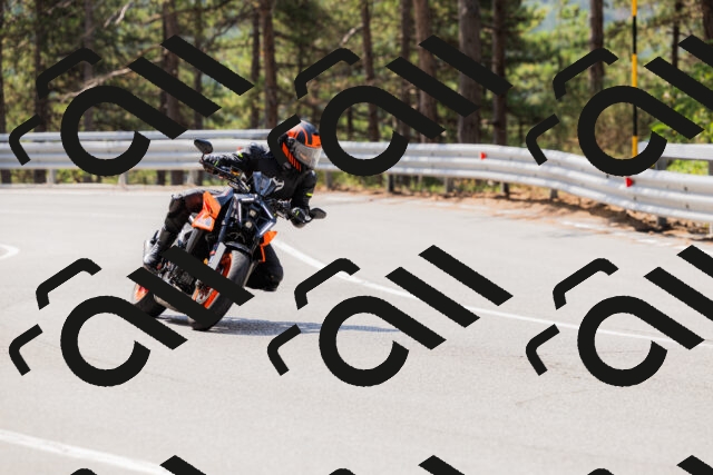 202508161134-_04A0695_c3