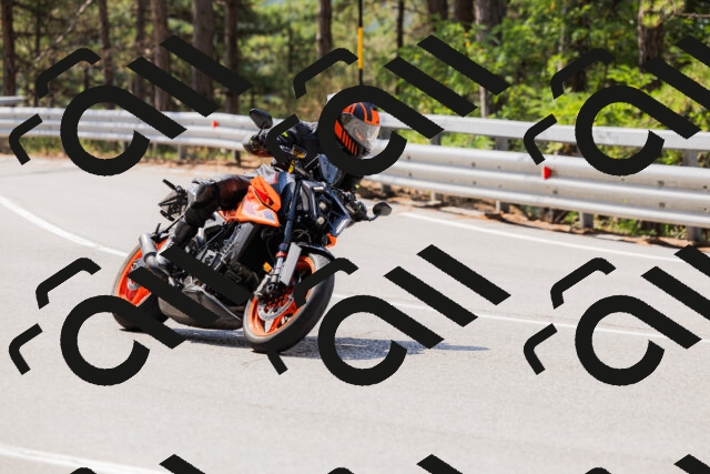 202508161134-_04A0696_c3