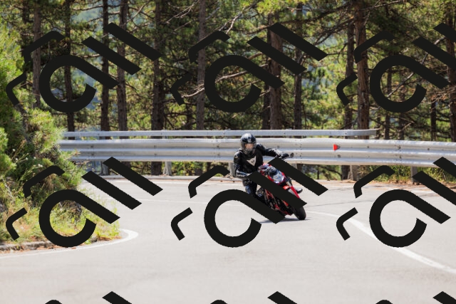 202508161134-_04A0698_c3