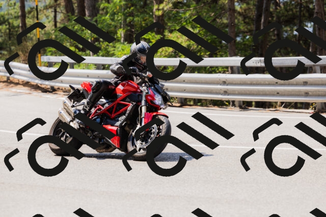 202508161134-_04A0702_c3