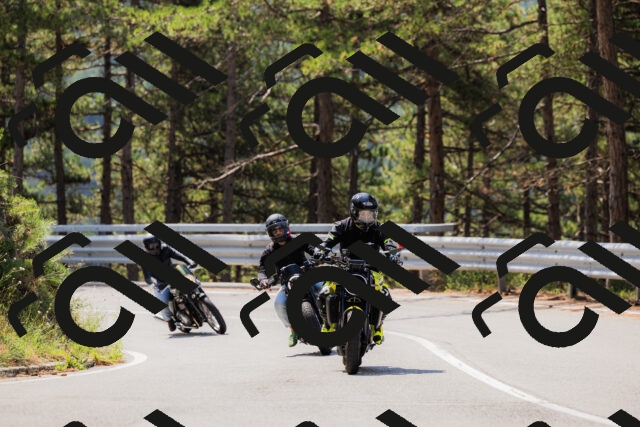 202508161134-_04A0704_c3