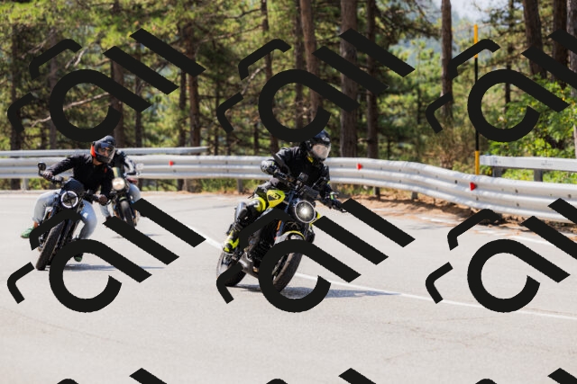 202508161134-_04A0705_c3