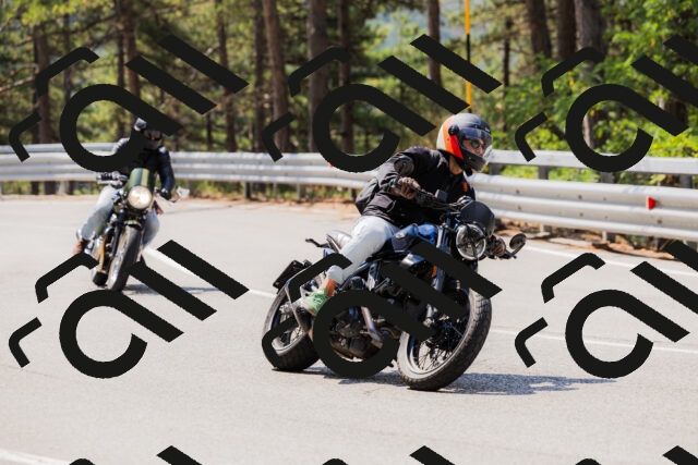 202508161134-_04A0706_c3