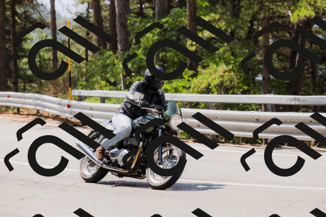 202508161134-_04A0707_c3