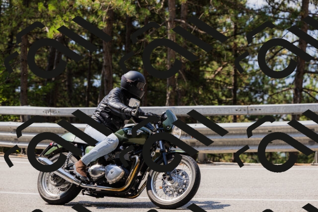 202508161134-_04A0708_c3