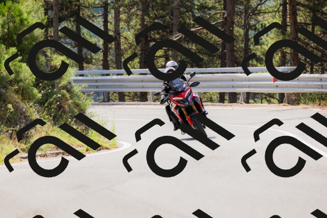 202508161135-_04A0709_c3