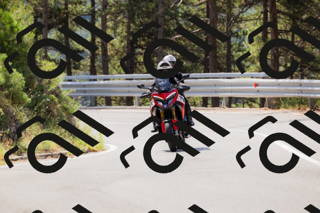 202508161135-_04A0710_c3