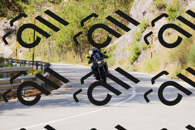 202508161135-_04A0714_c3