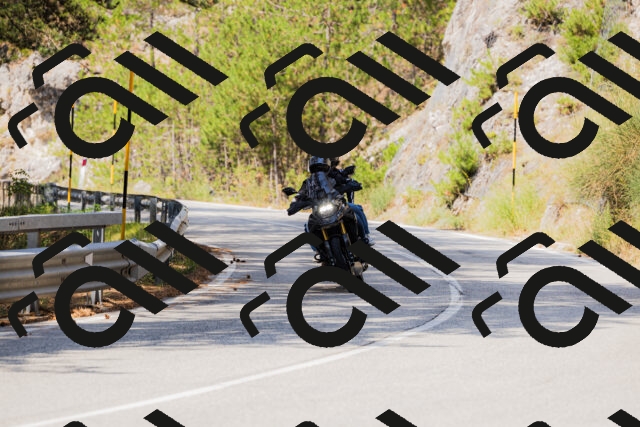 202508161135-_04A0715_c3