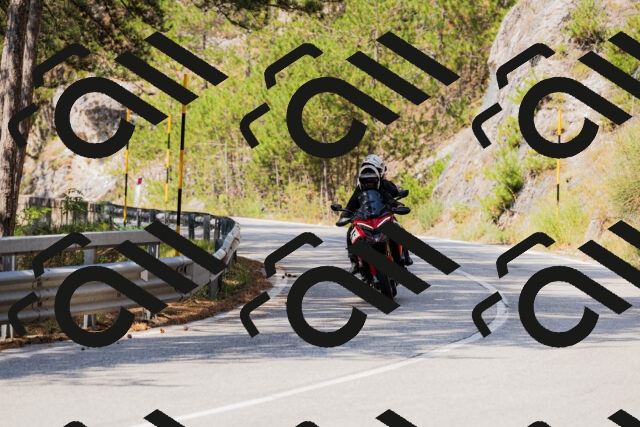 202508161136-_04A0719_c3