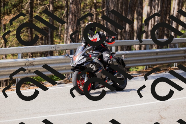 202508161137-_04A0726_c3