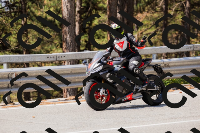 202508161137-_04A0727_c3