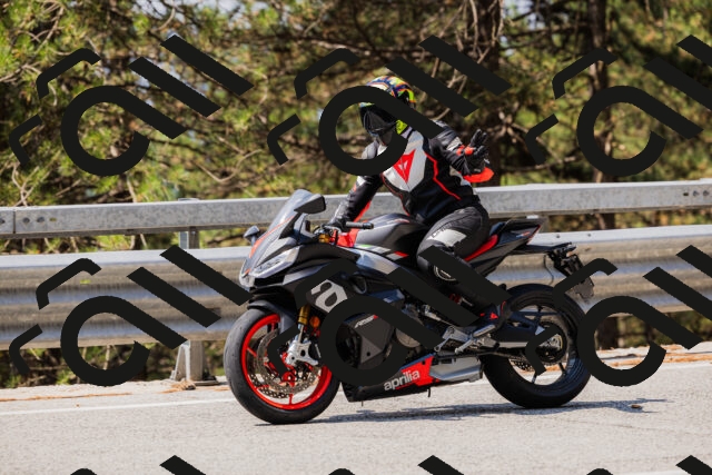 202508161137-_04A0728_c3