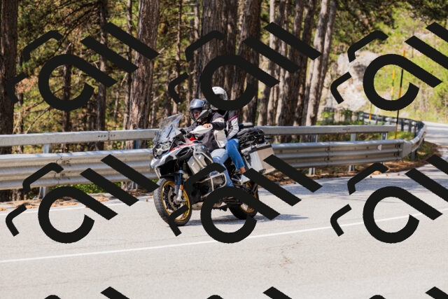 202508161137-_04A0736_c3