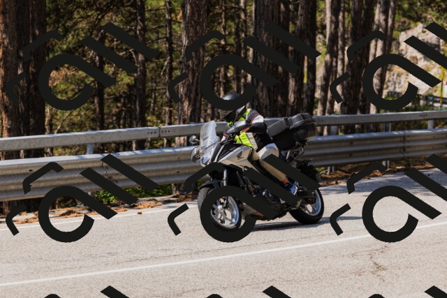 202508161138-_04A0739_c3