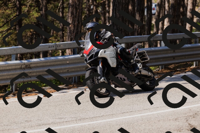 202508161140-_04A0745_c3