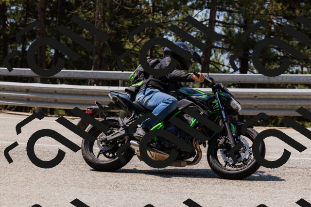 202508161140-_04A0750_c3