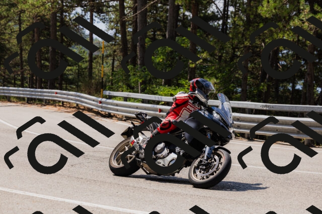 202508161141-_04A0752_c3