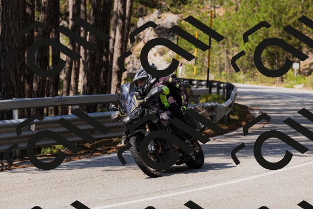 202508161142-_04A0759_c3