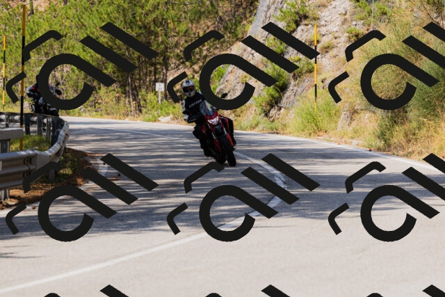 202508161142-_04A0762_c3