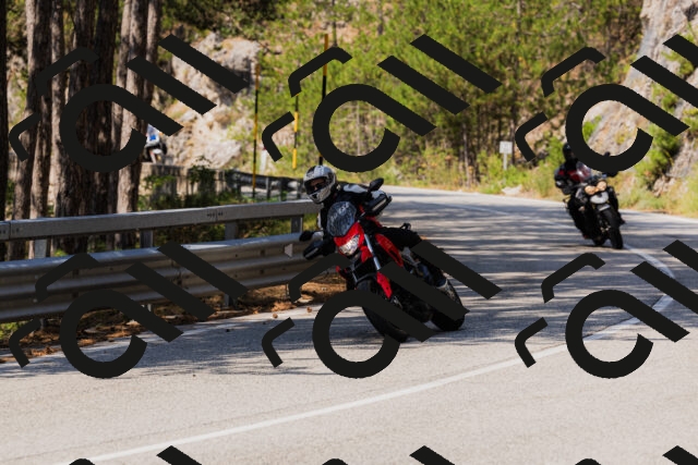 202508161142-_04A0763_c3