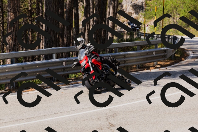 202508161142-_04A0764_c3