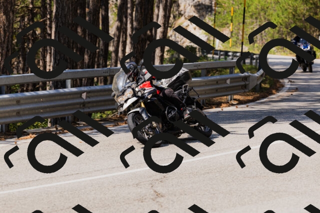 202508161142-_04A0765_c3