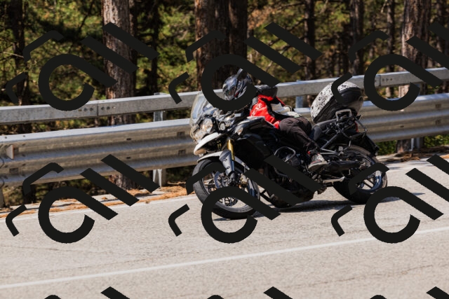 202508161142-_04A0766_c3