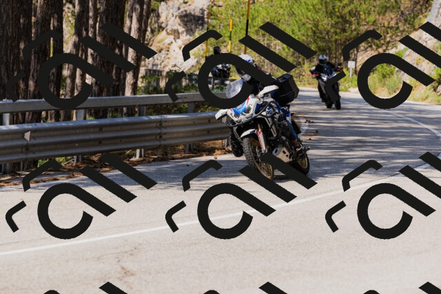 202508161142-_04A0767_c3