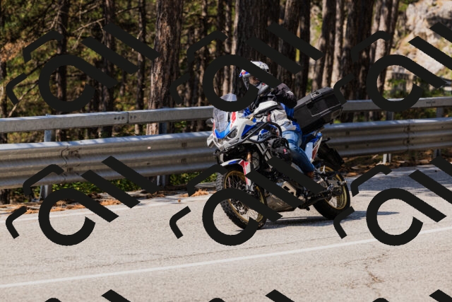 202508161142-_04A0768_c3