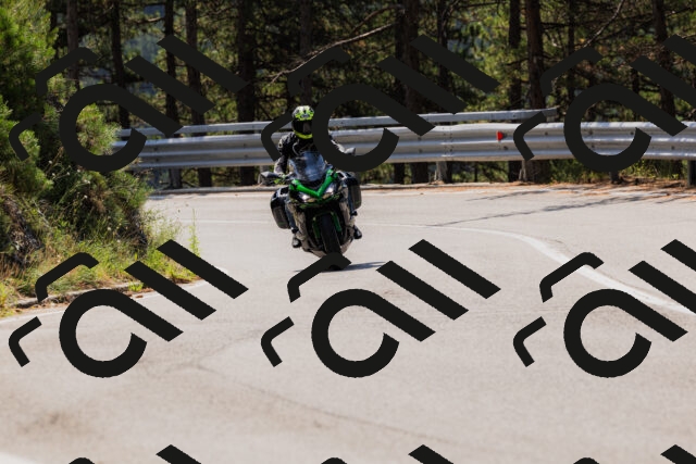 202508161146-_04A0776_c3