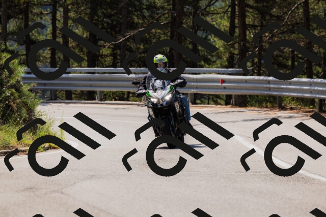 202508161146-_04A0781_c3