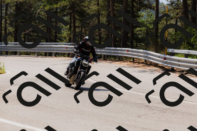 202508161147-_04A0789_c3