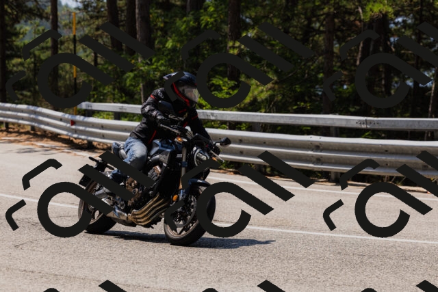 202508161147-_04A0790_c3