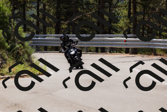 202508161150-_04A0802_c3