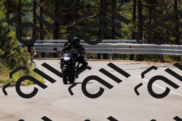 202508161150-_04A0803_c3