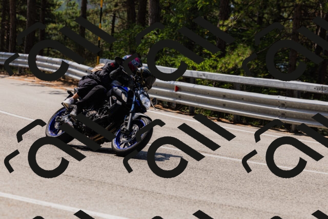 202508161150-_04A0805_c3