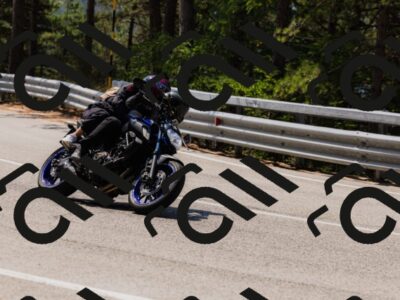 202508161150-_04A0805_c3