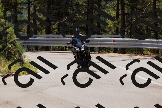 202508161150-_04A0806_c3