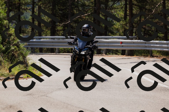 202508161150-_04A0807_c3