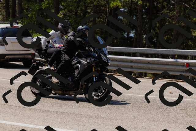 202508161150-_04A0808_c3