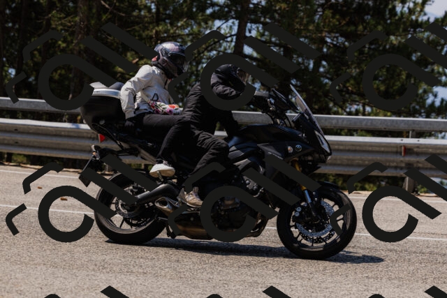 202508161150-_04A0809_c3