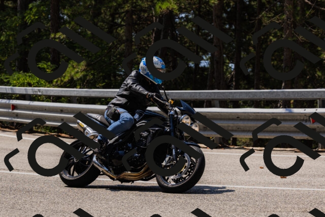 202508161151-_04A0812_c3