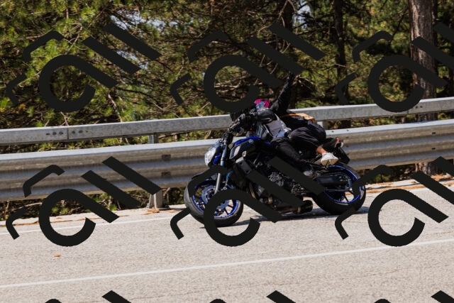 202508161151-_04A0814_c3