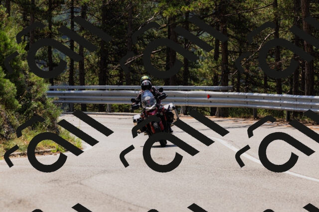 202508161151-_04A0815_c3