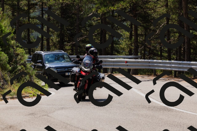 202508161151-_04A0816_c3