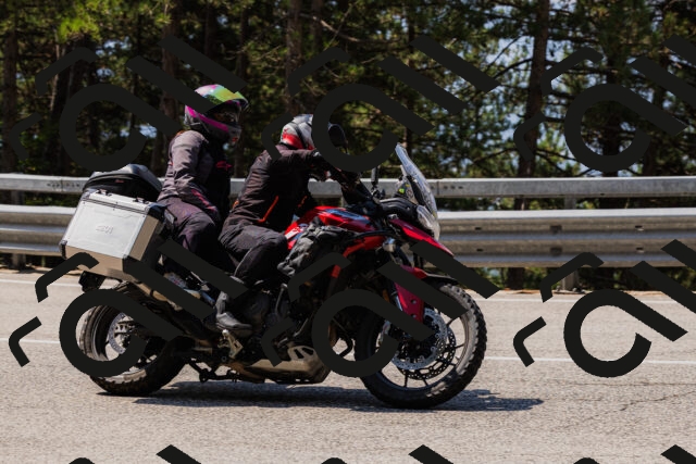 202508161151-_04A0818_c3